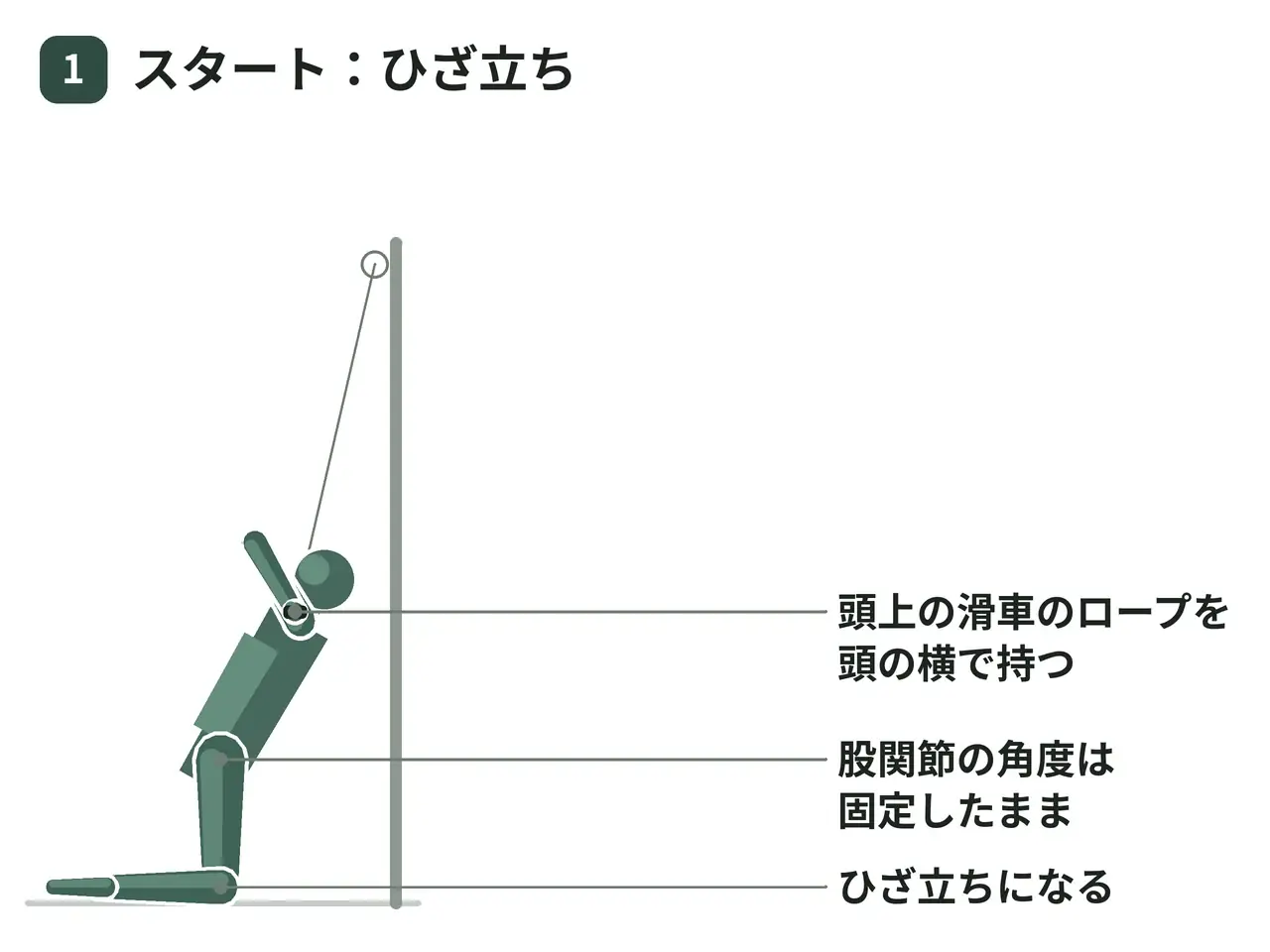 ケーブルクランチ（膝立ち・ロープ・体幹屈曲）の動作の参考画像