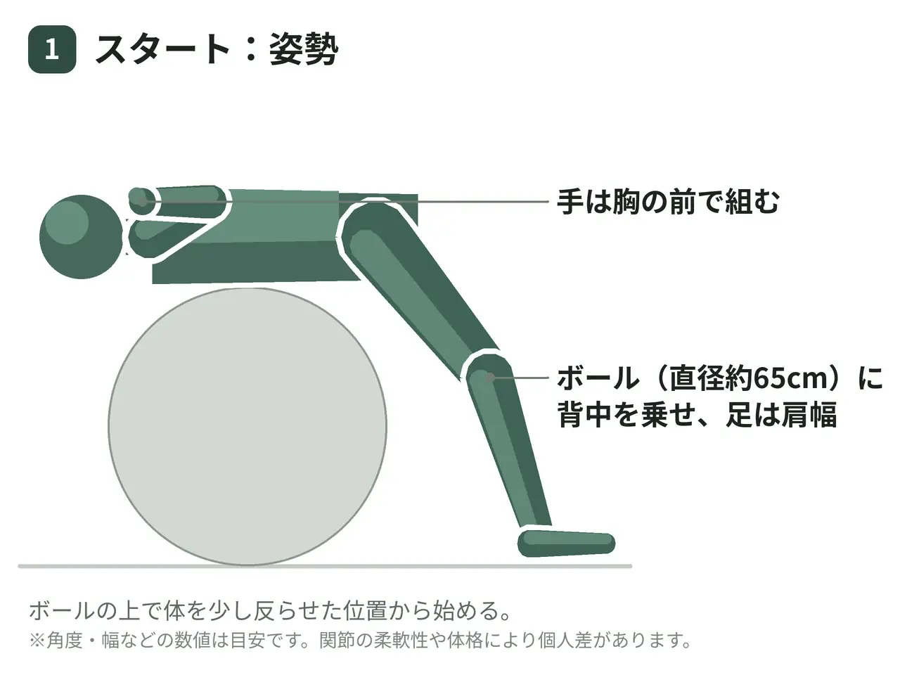バランスボールクランチ（自重・足は床）の動作の参考画像