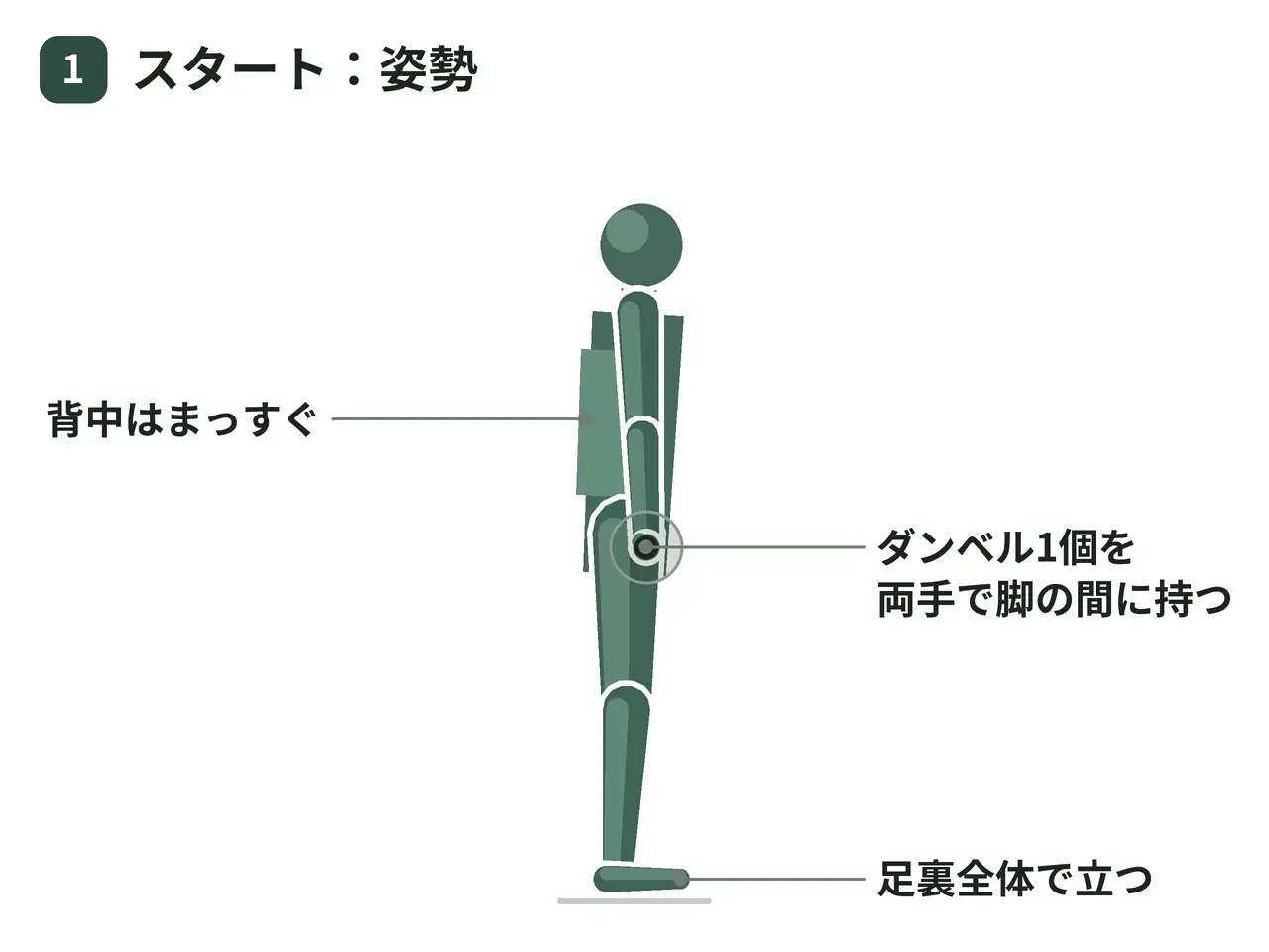 ダンベルワイドスクワット（両手で1個を脚間に保持）の動作の参考画像