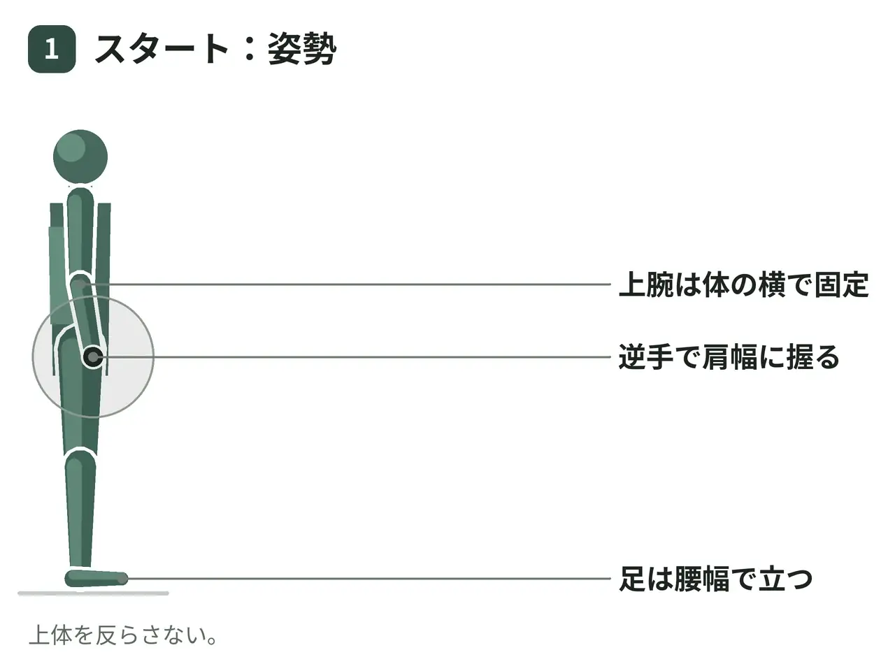 バーベルカール（立位・逆手）の動作の参考画像