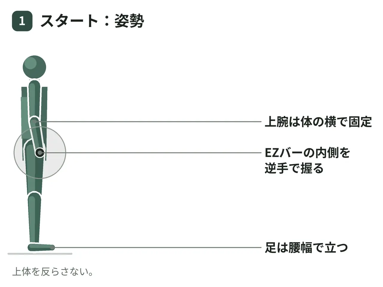 EZバーカール（立位・逆手）の動作の参考画像
