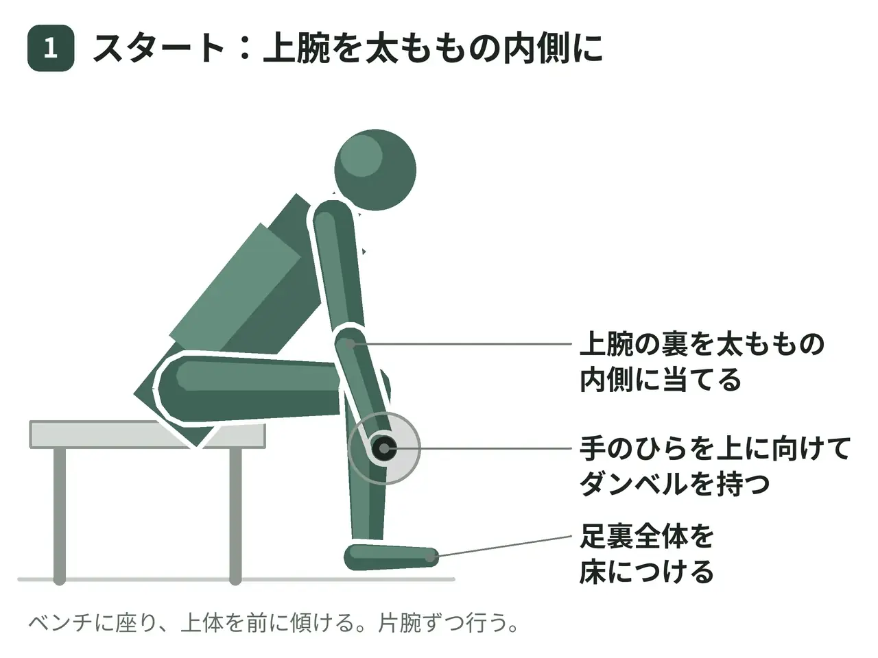 ダンベルコンセントレーションカール（座位・大腿内側支持・片腕）の動作の参考画像
