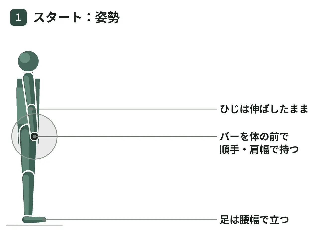 バーベルシュラッグ（立位・バーは身体の前）の動作の参考画像
