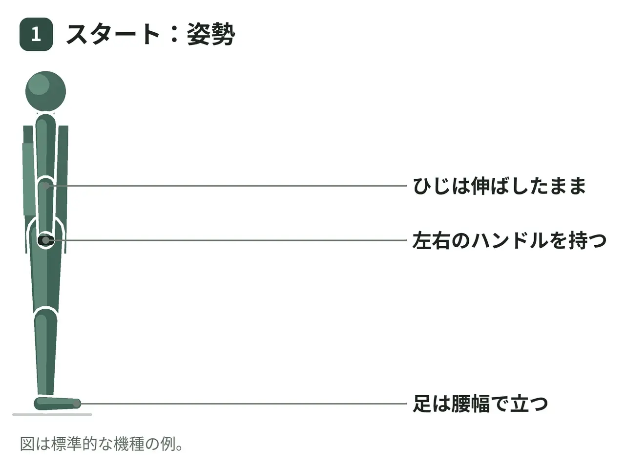 シュラッグマシン（立位・両腕）の動作の参考画像