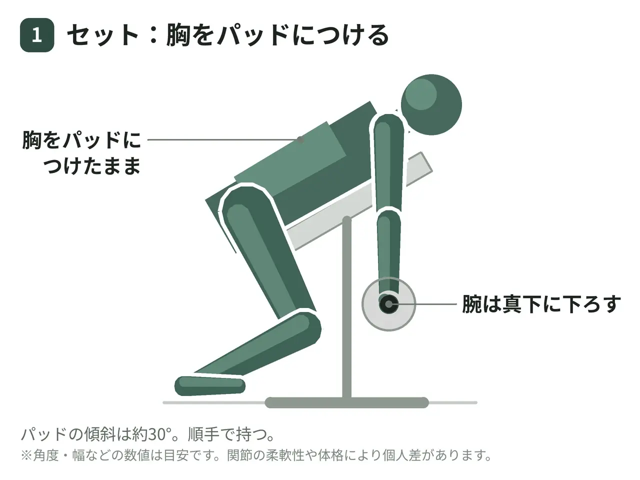 チェストサポート・ダンベルロウ（両腕・順手・肘を外側へ）の動作の参考画像