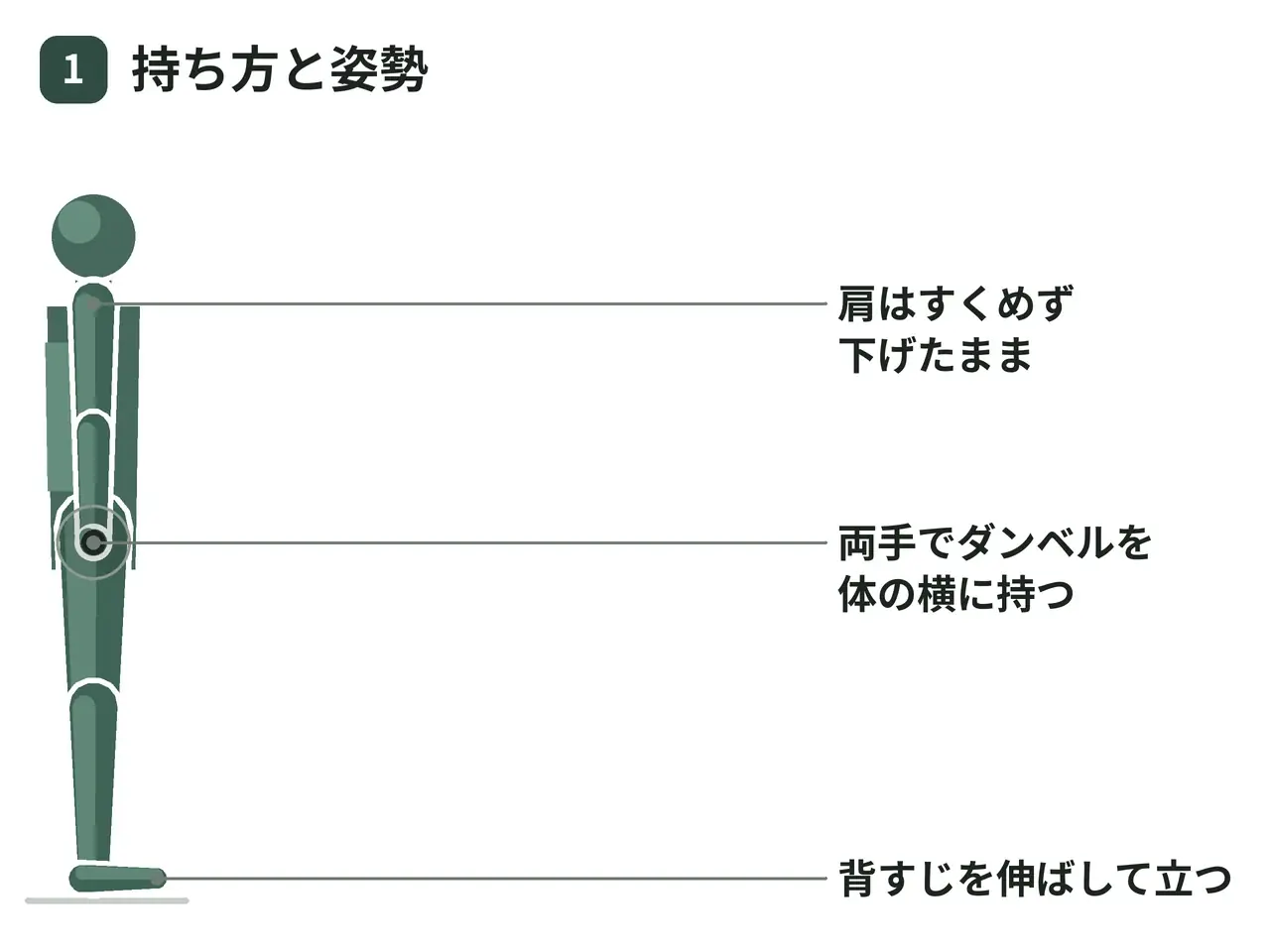 ダンベルファーマーズキャリー（立位歩行・両手保持）の動作の参考画像