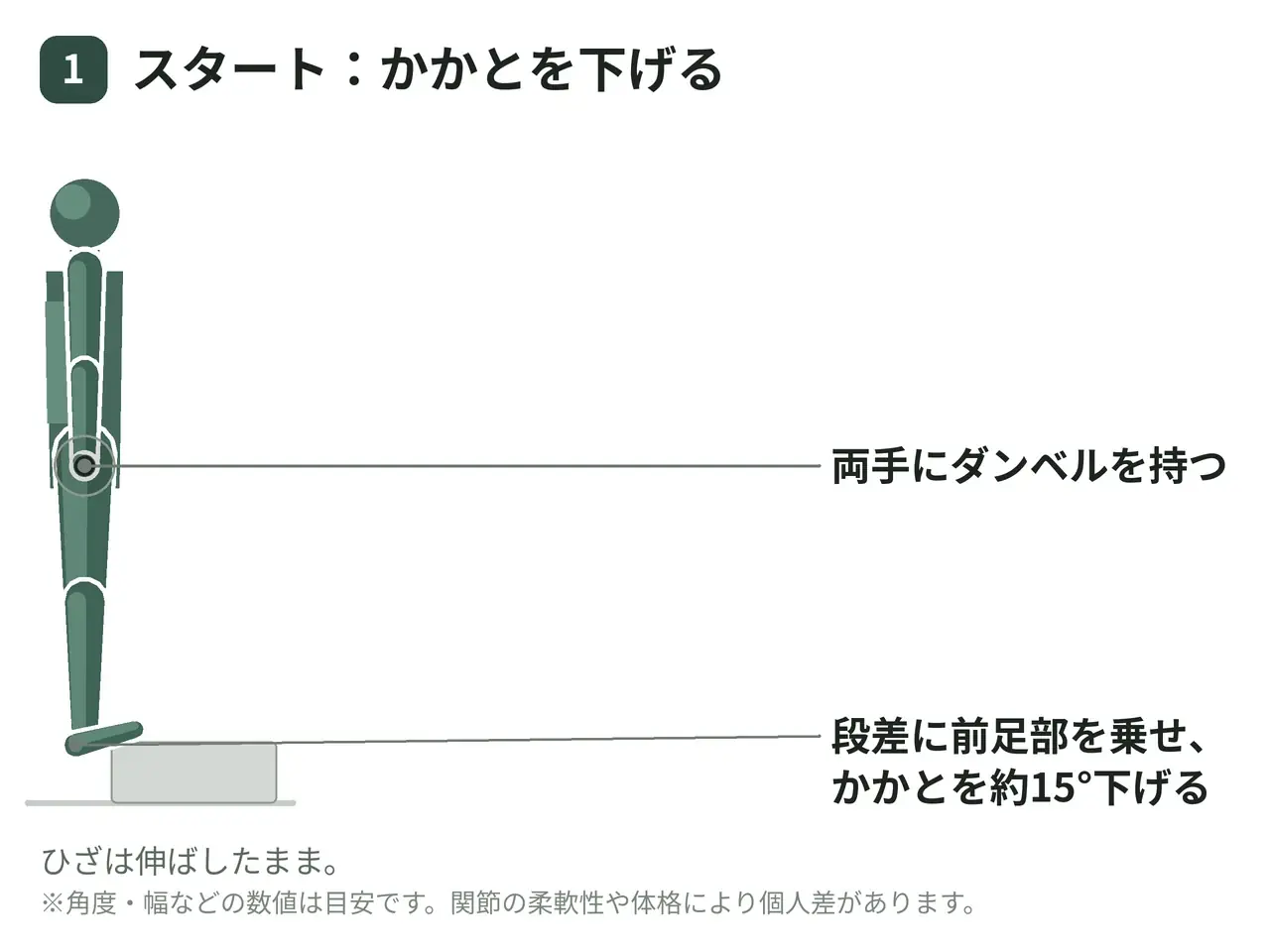 スタンディングカーフレイズ（ダンベル・両手保持・両脚・段差）の動作の参考画像