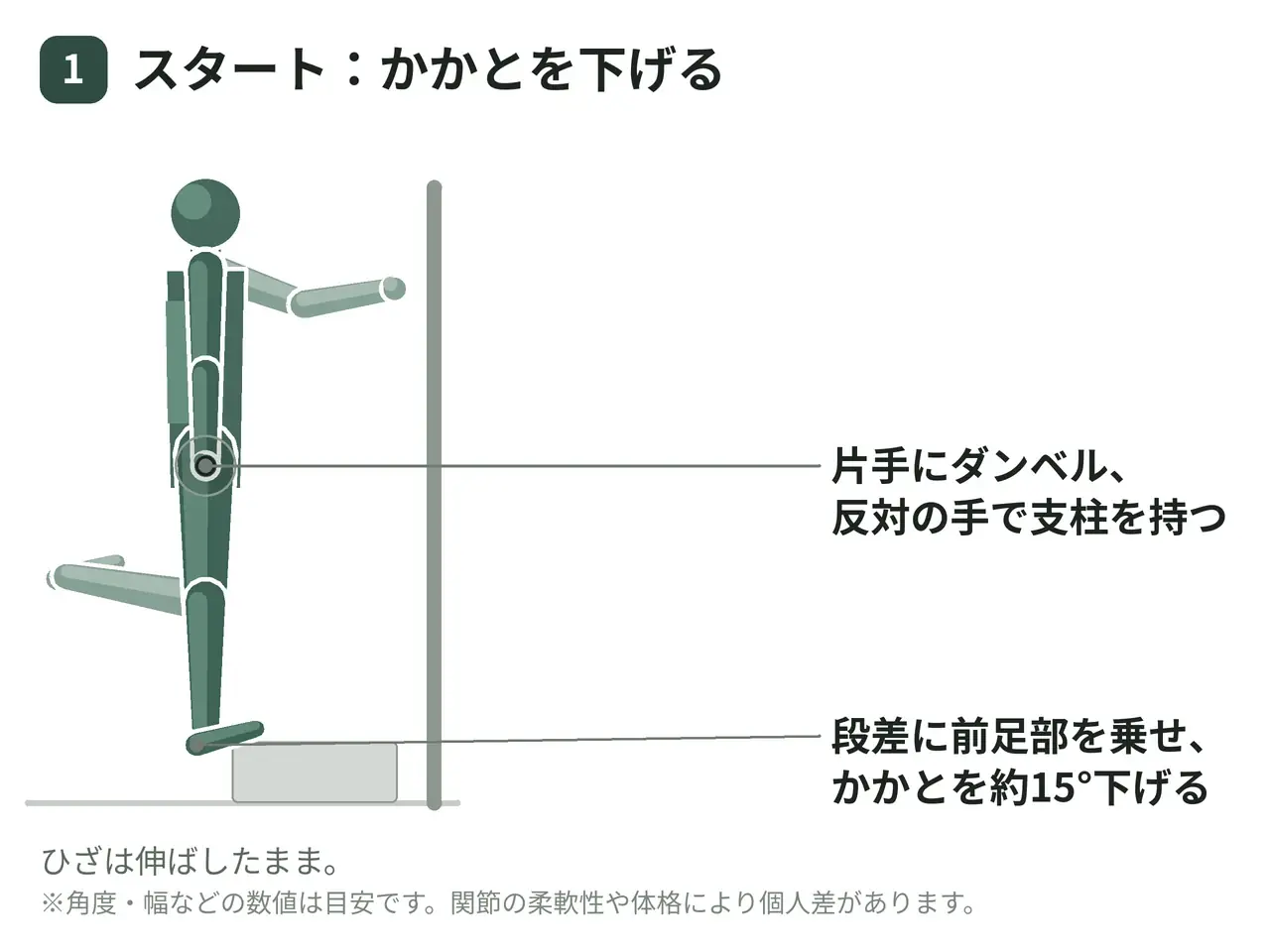 シングルレッグカーフレイズ（ダンベル片手保持・段差・反対の手で支持）の動作の参考画像