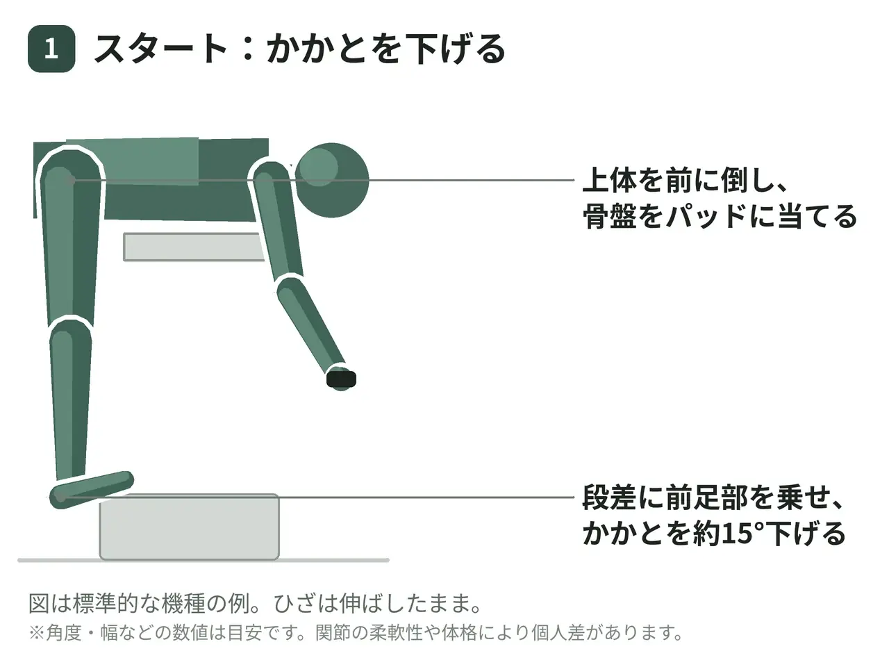 ドンキーカーフレイズマシン（体幹前傾・膝伸展・両脚）の動作の参考画像