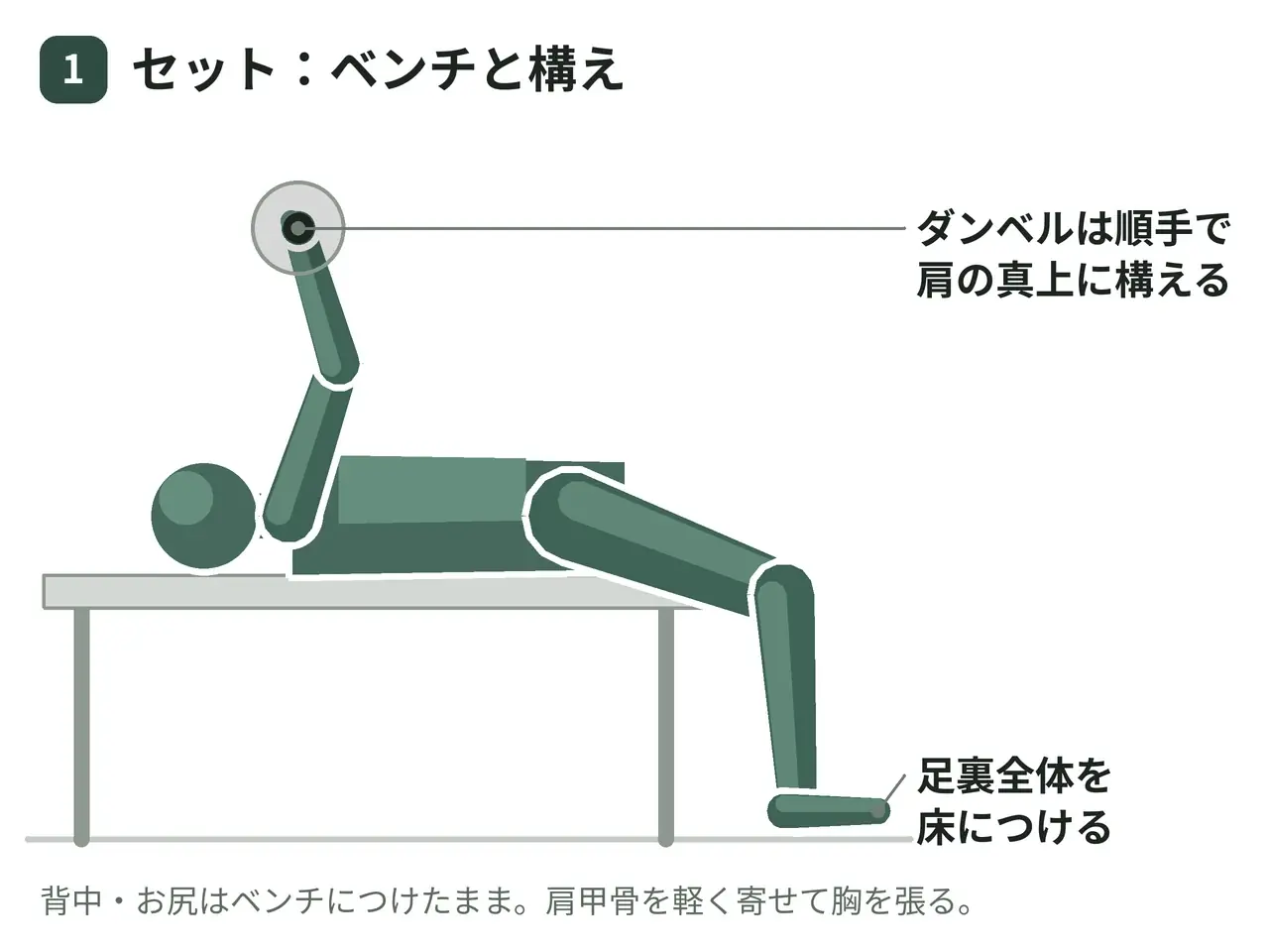 フラット・ダンベルベンチプレス（両腕・順手）の動作の参考画像
