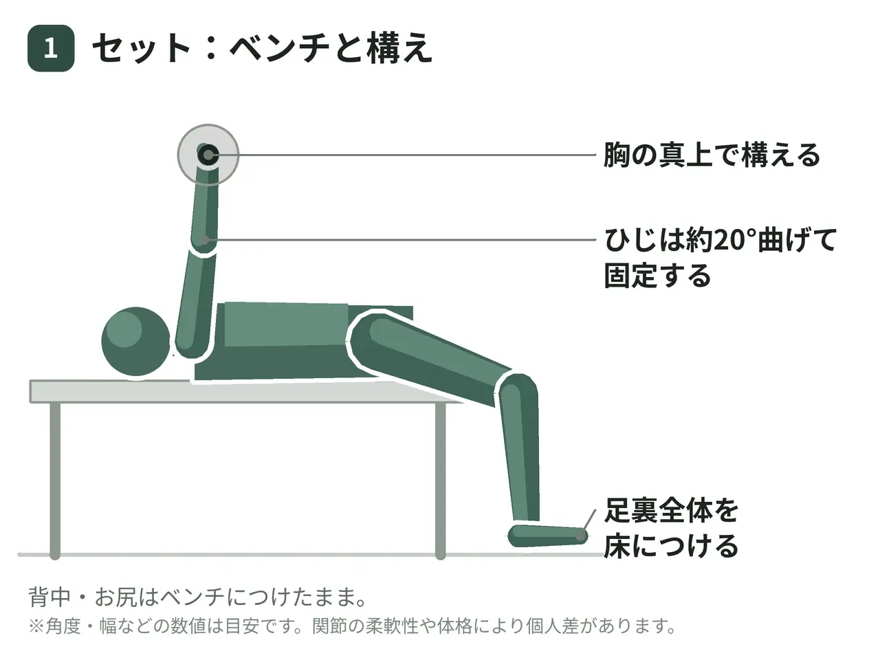 フラット・ダンベルフライ（両腕）の動作の参考画像