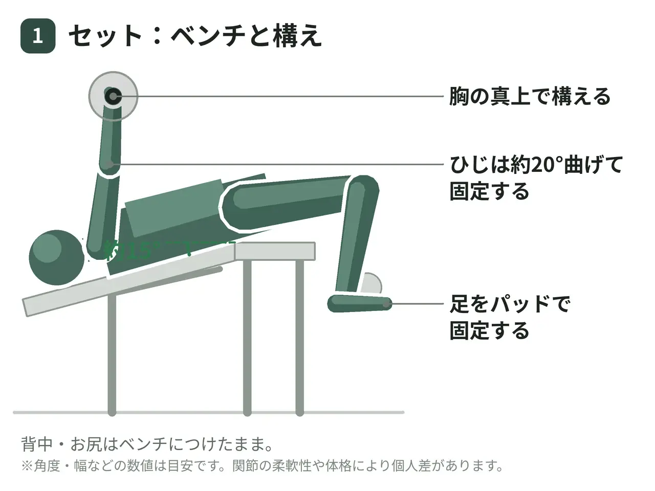 デクライン・ダンベルフライ（両腕）の動作の参考画像