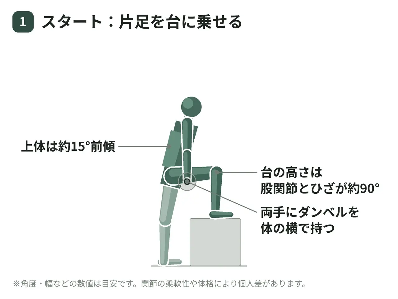 ダンベルステップアップ（台を使用・両手を体側）の動作の参考画像