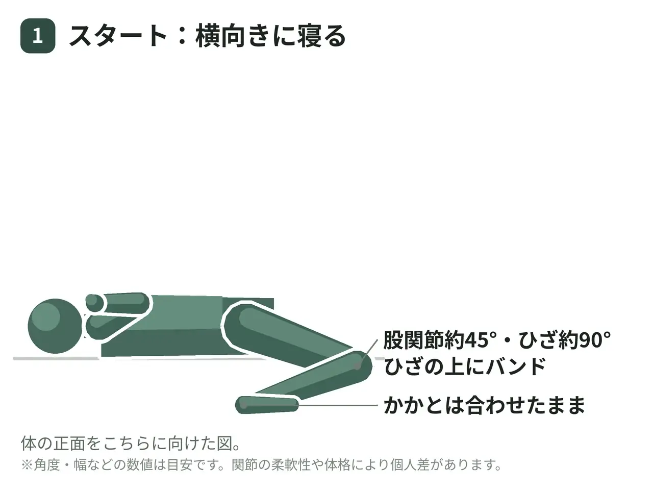 クラムシェル（横向き・膝上ループバンド）の動作の参考画像