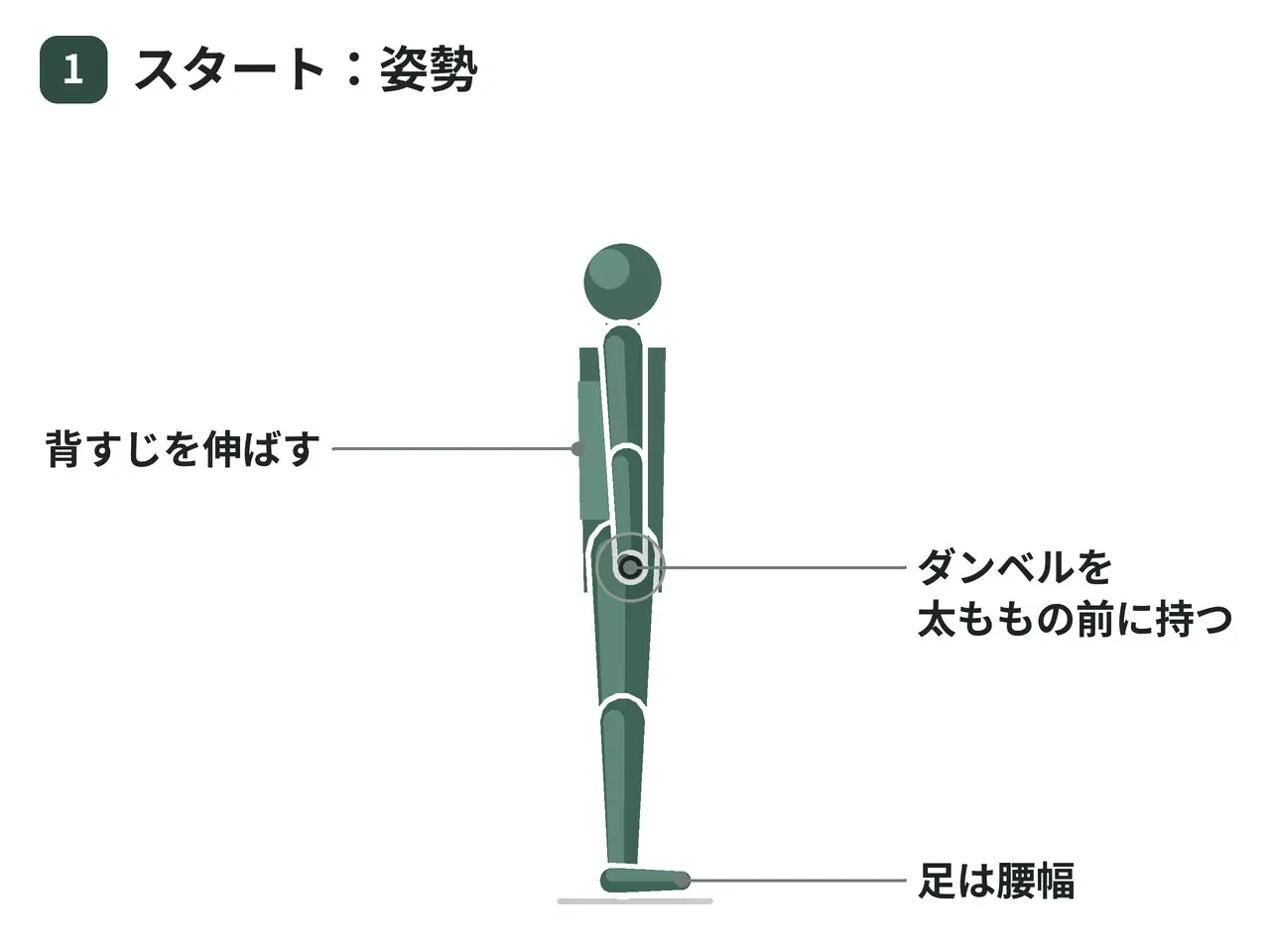ダンベルルーマニアンデッドリフト（両脚・両手保持）の動作の参考画像
