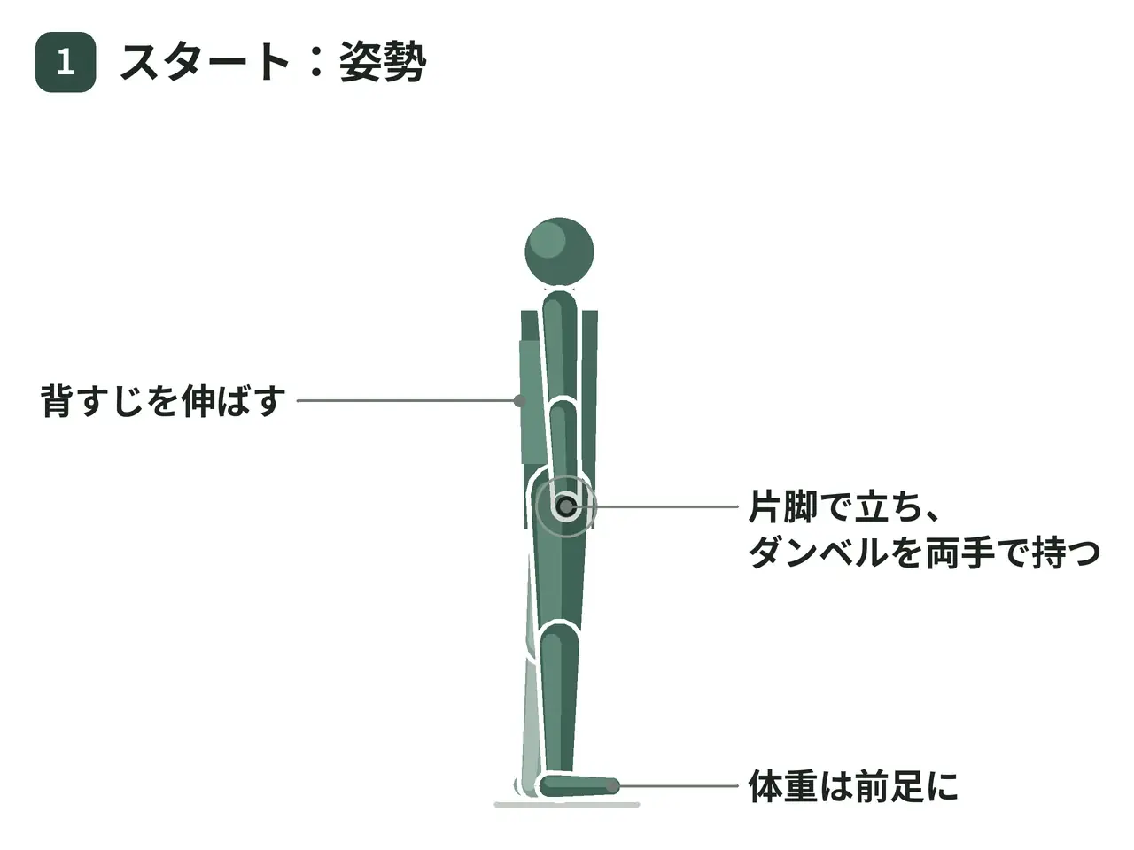 シングルレッグ・ダンベルルーマニアンデッドリフト（両手保持・支持なし）の動作の参考画像