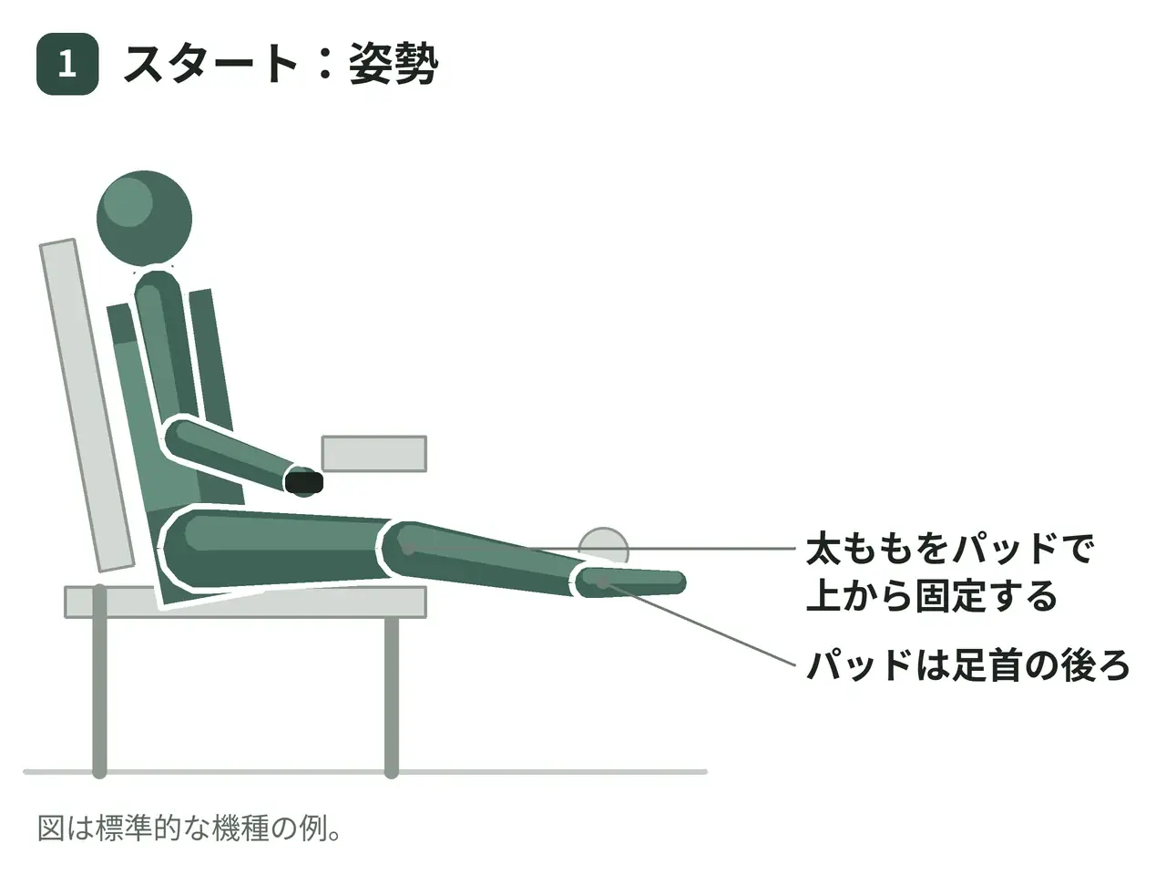 シーテッドレッグカールマシン（座位・両脚）の動作の参考画像