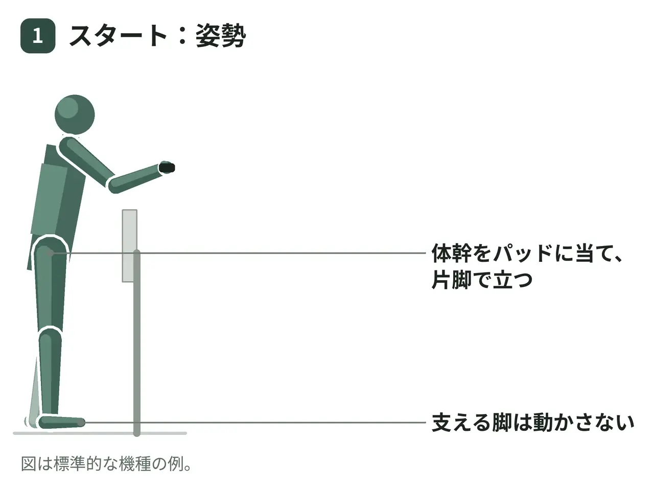 スタンディングレッグカールマシン（立位・片脚）の動作の参考画像