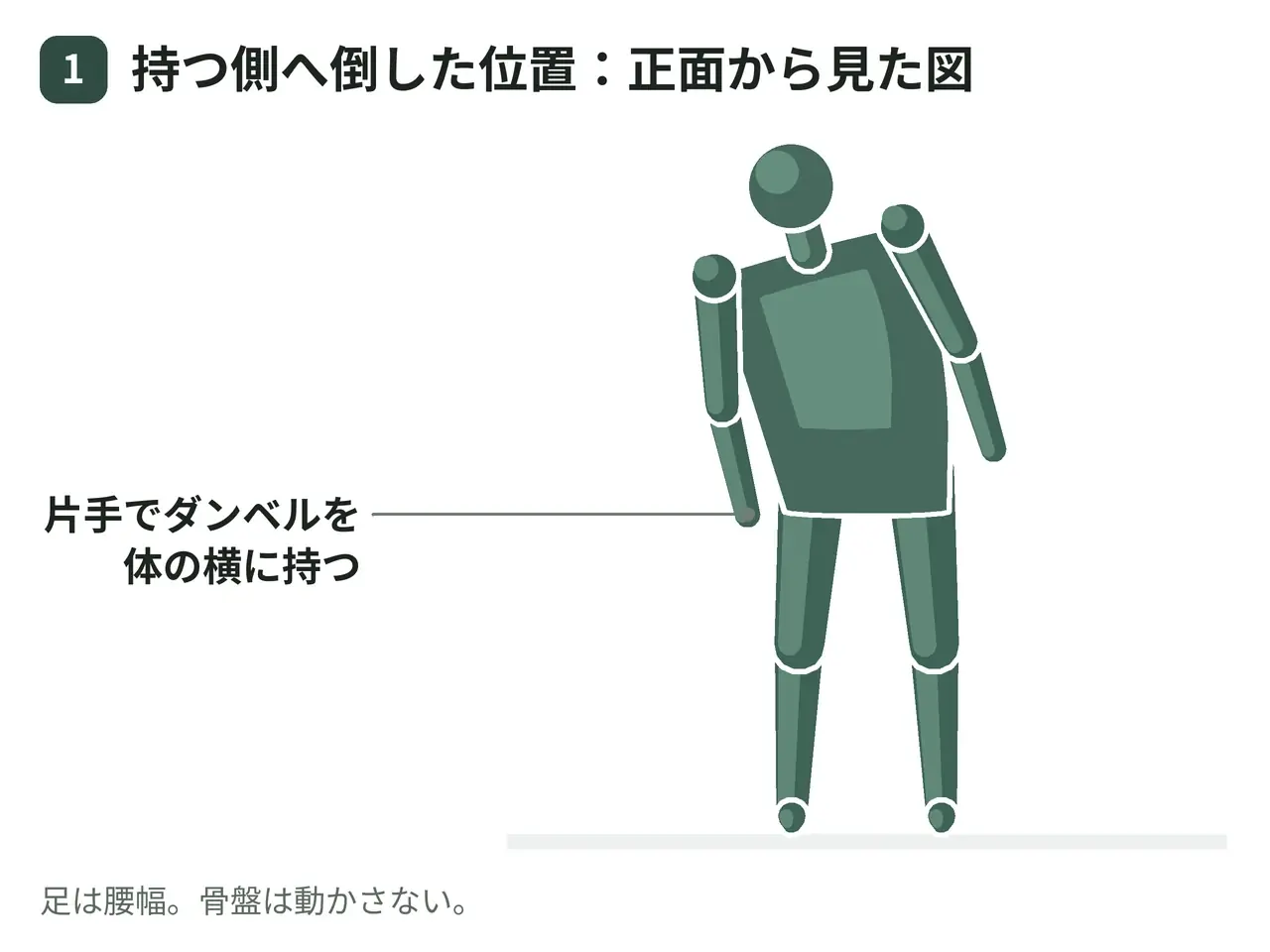 ダンベルサイドベント（立位・片手保持）の動作の参考画像