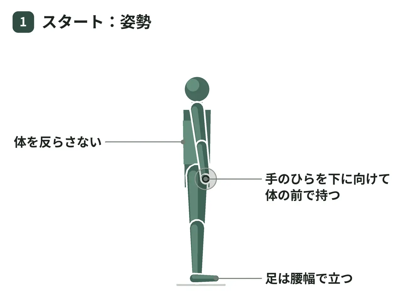 ダンベルフロントレイズ（立位・両腕・順手）の動作の参考画像