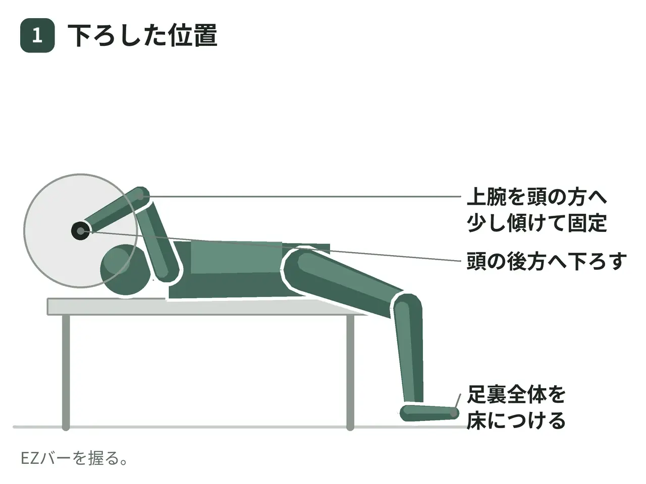 ライイング・EZバーエクステンション（フラットベンチ・頭の後方へ）の動作の参考画像