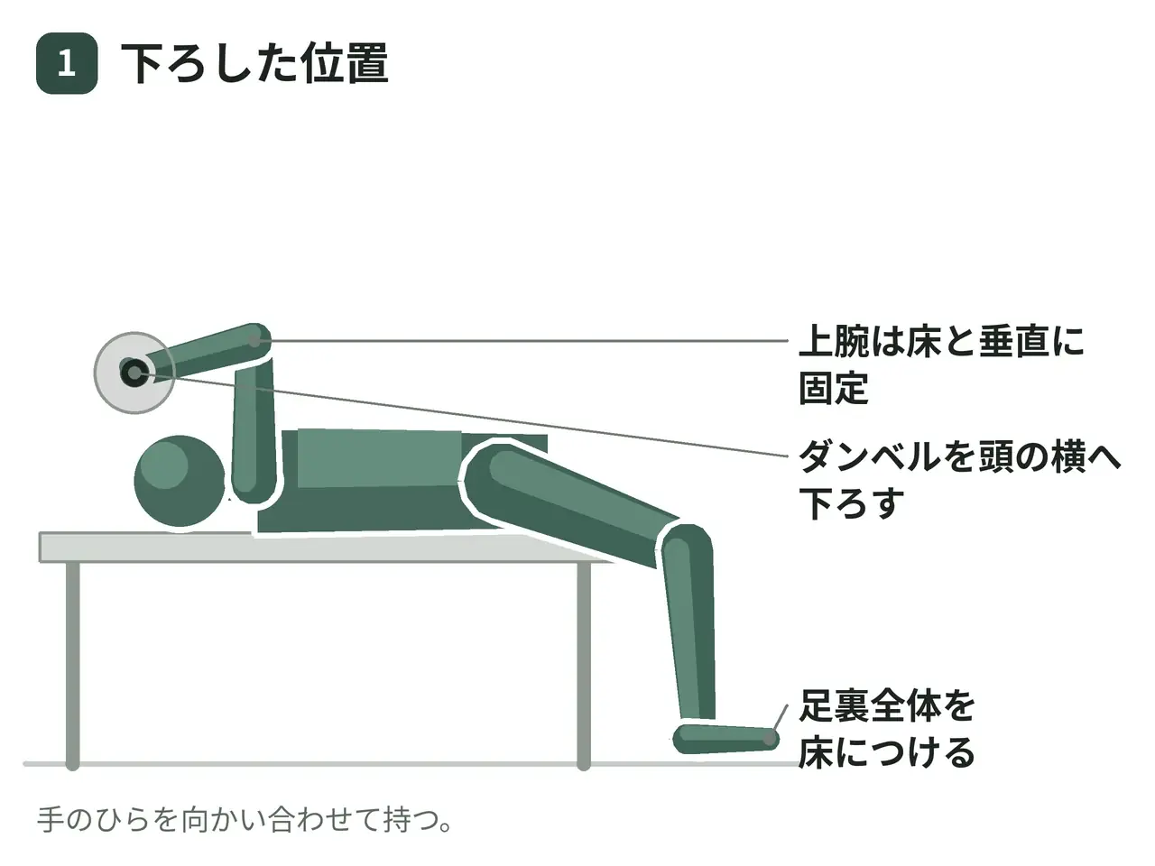 ライイング・ダンベルエクステンション（フラットベンチ・両腕・頭の側方へ）の動作の参考画像